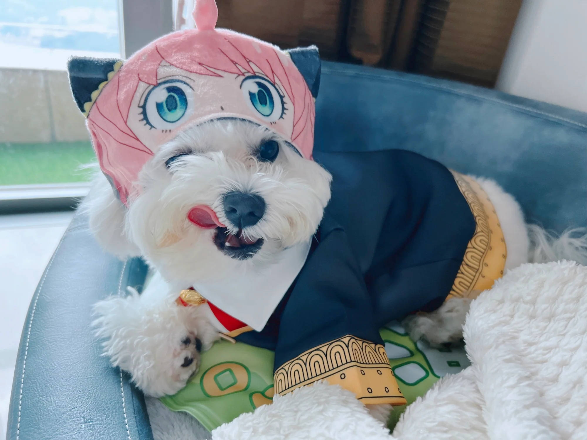 Anya Pet Cosplay Set [Spy x Family] - Image 2