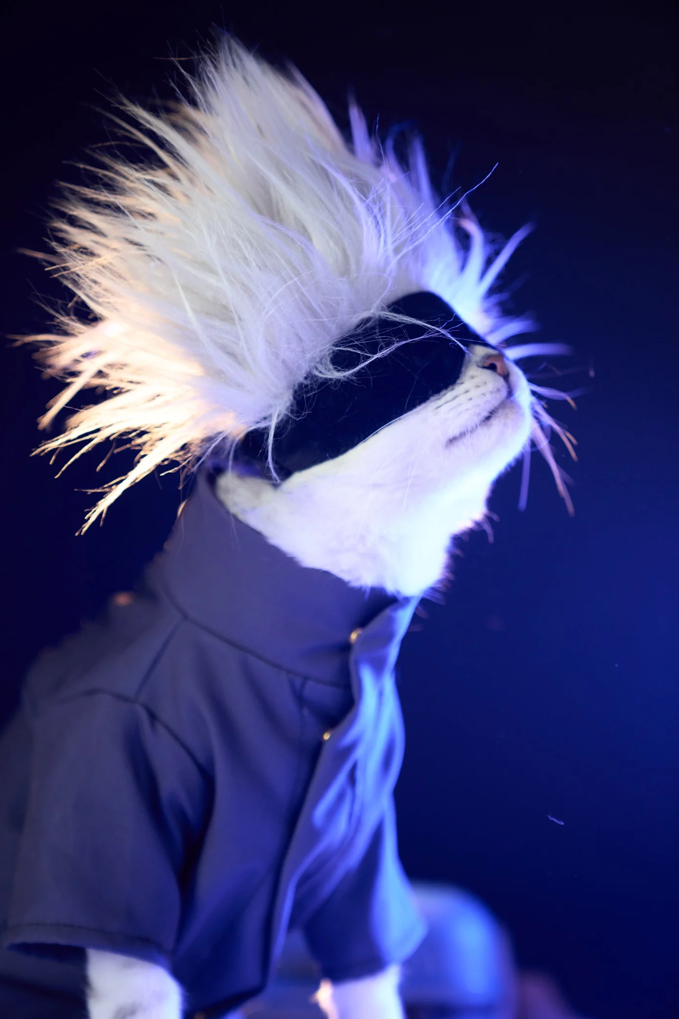 Gojo Satoru Full Set Pet Costume [Jujutsu Kaisen] - Image 7