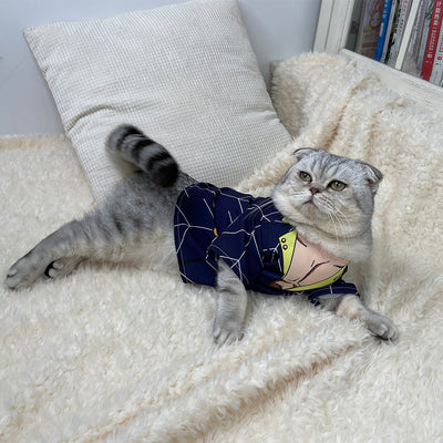 JoJo's Bizarre Adventure Pet Cosplay Costume Various Designs - Image 11