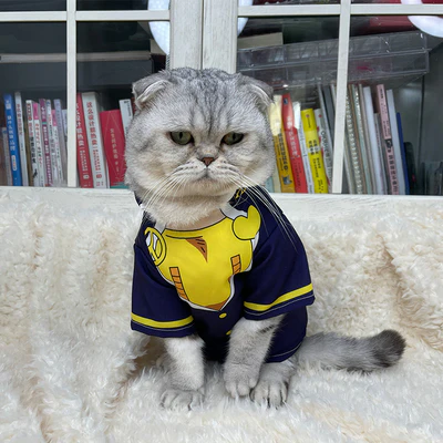 JoJo's Bizarre Adventure Pet Cosplay Costume Various Designs - Image 4