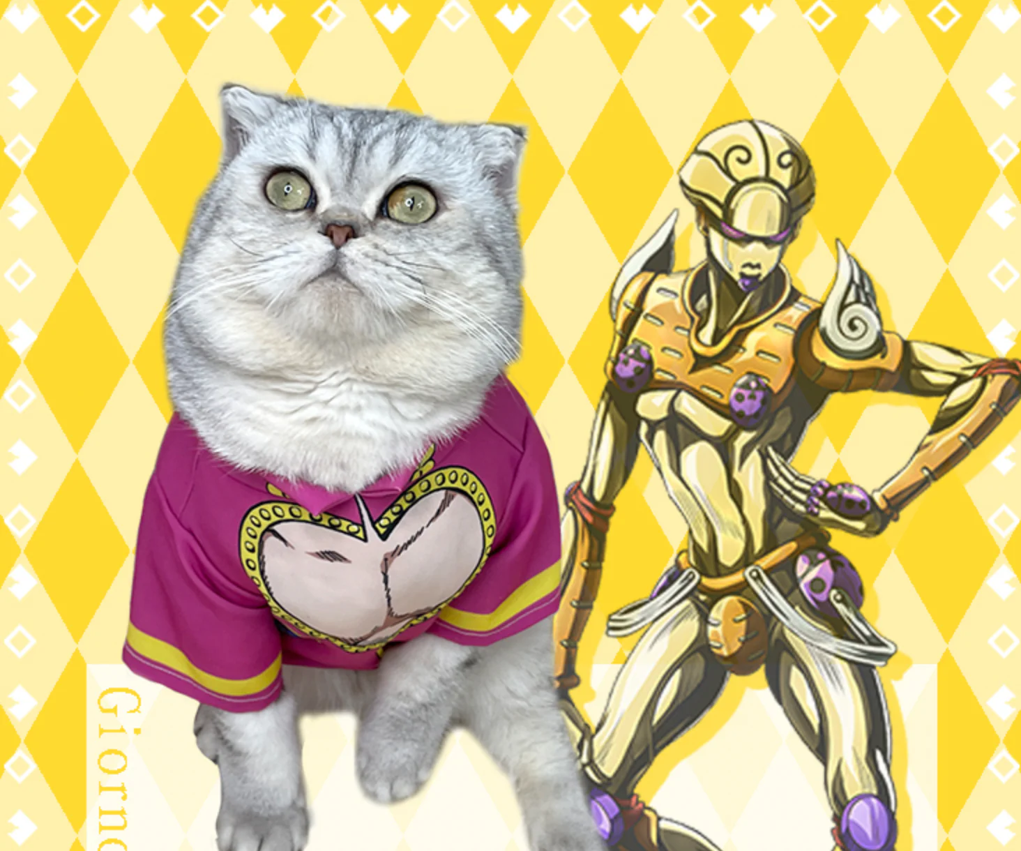 JoJo's Bizarre Adventure Pet Cosplay Costume Various Designs - Image 5