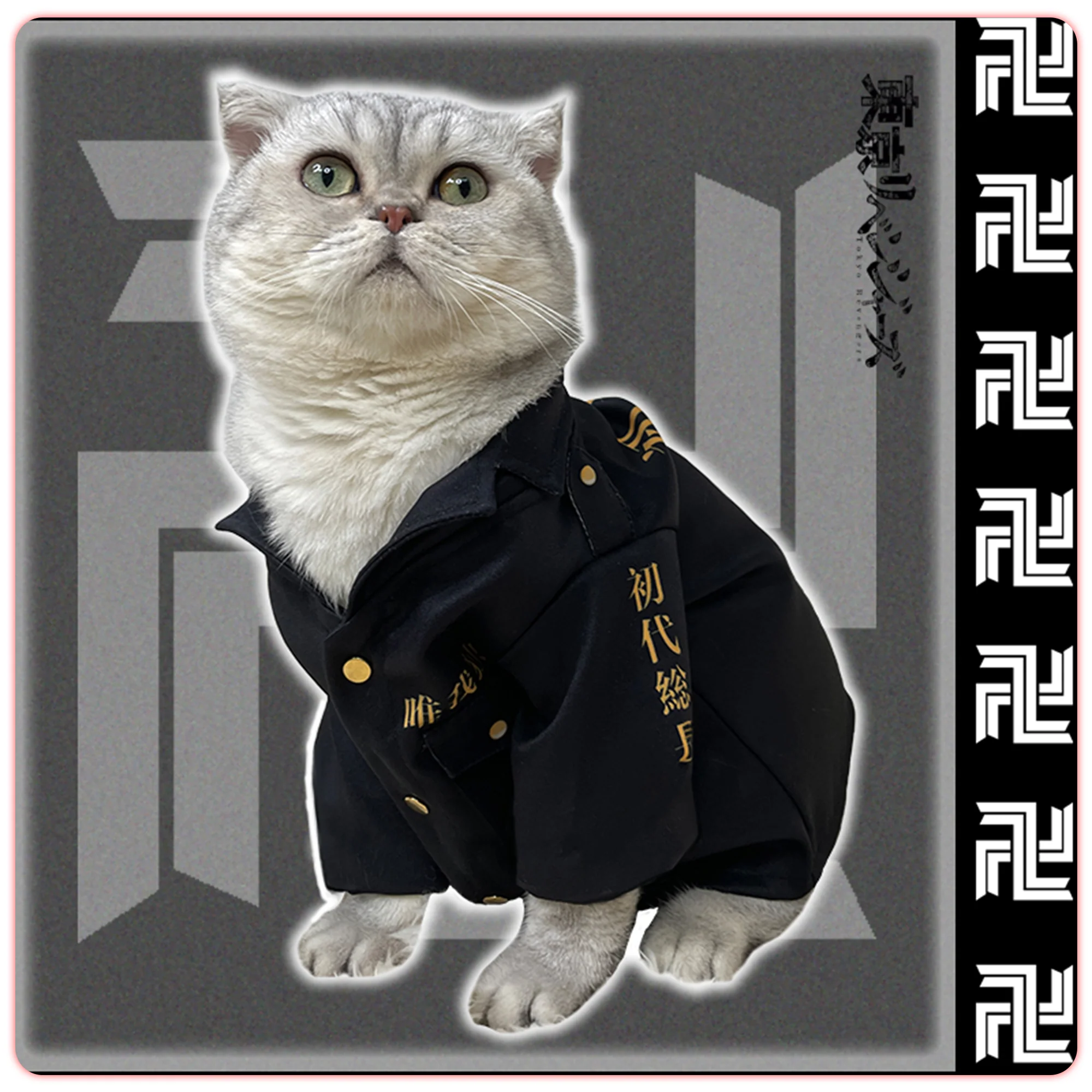 Tokyo Manji Gang Toman Uniform Pet Costume [Tokyo Revengers] - Image 5